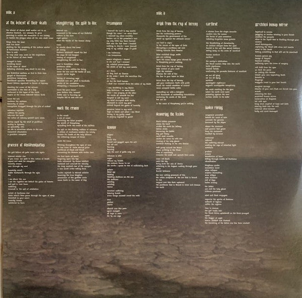 Bloodbath : The Fathomless Mastery (LP, Album, RE)