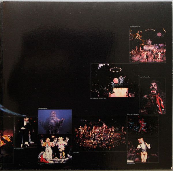Andrew Lloyd Webber : Cats (Complete Original Broadway Cast Recording) (2xLP, Album, Spe)