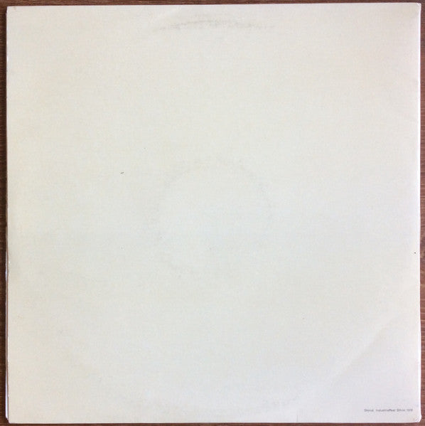 Bob Dylan : Daddy Rollin’ Stone (2xLP, Unofficial)