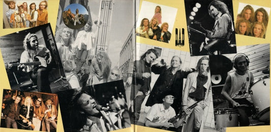 D.A.D* : Special (LP, Comp)