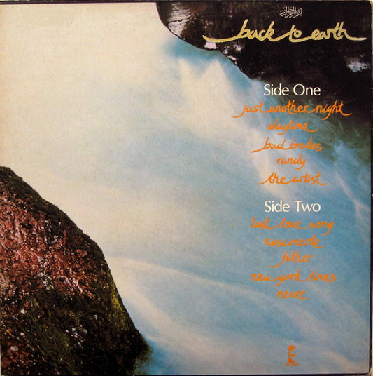 Cat Stevens : Back To Earth (LP, Album)