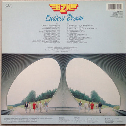 BZN : Endless Dream (LP, Album, PRS)