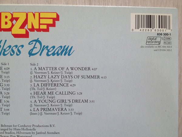 BZN : Endless Dream (LP, Album, PRS)