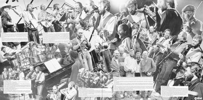 De Gyldne Løver : 32 Hits (2xLP, Comp)