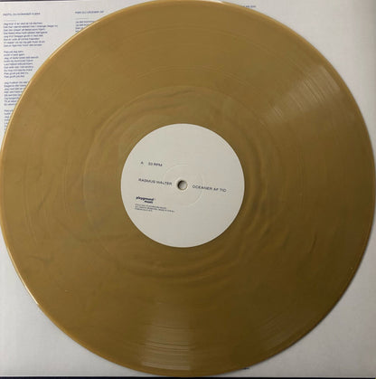 Rasmus Walter : Oceaner Af Tid (LP, Bro)