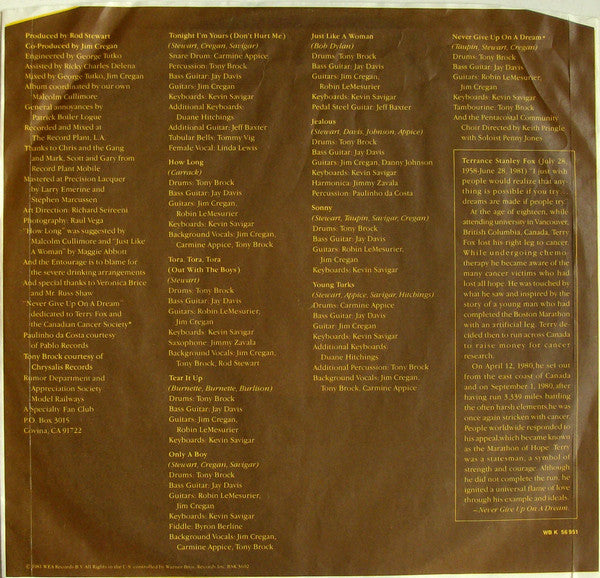 Rod Stewart : Tonight I'm Yours (LP, Album)