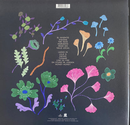 José González : Local Valley (LP, Album)