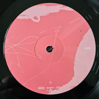 Møl : Diorama (LP, Album)