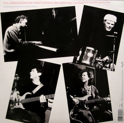 Bruce Hornsby And The Range : A Night On The Town (LP, Album)