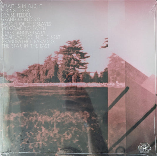 City Of Ships : Look What God Did To Us (LP, Ltd, Cle)