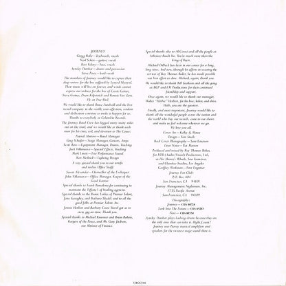 Journey : Infinity (LP, Album)