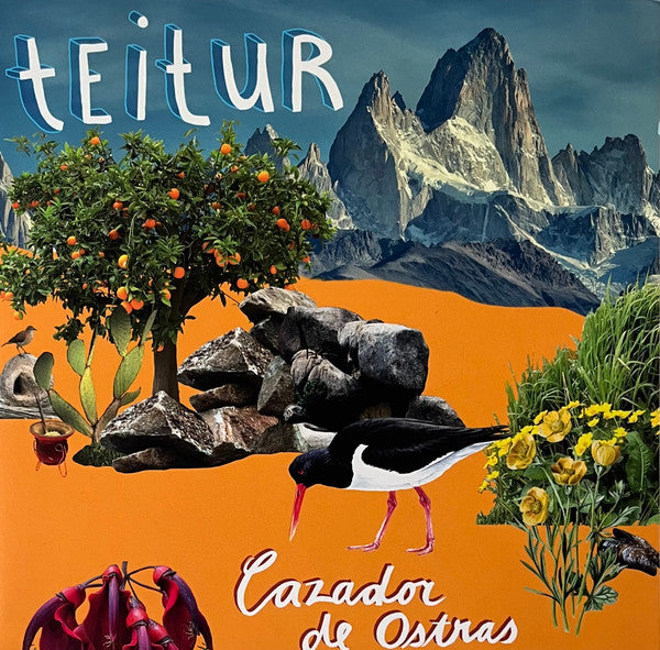 Teitur : Cazador De Ostras (LP, Album)