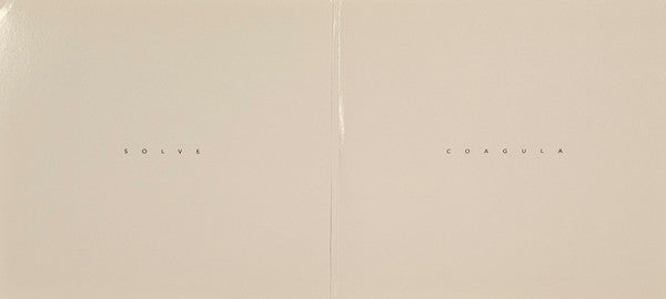 Zeal & Ardor* : Zeal & Ardor (2x12", Album, Dlx, 180)