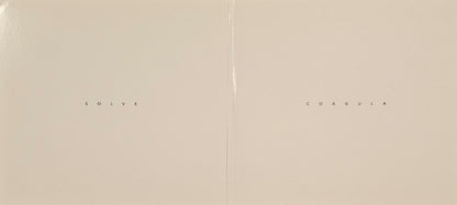 Zeal & Ardor* : Zeal & Ardor (2x12", Album, Dlx, 180)