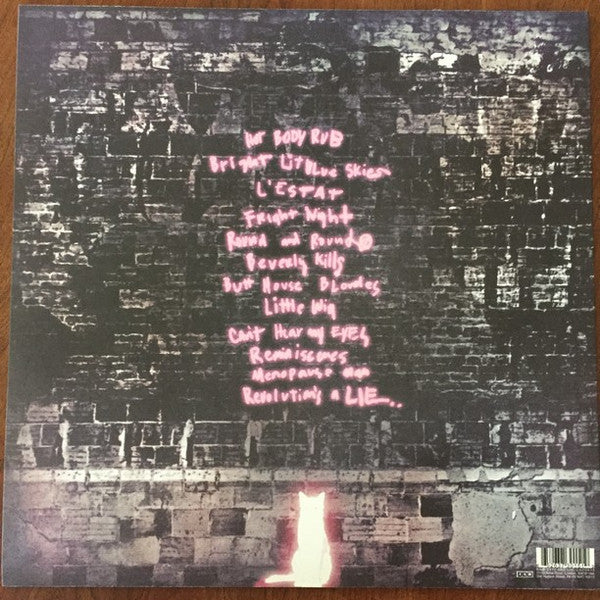 Ariel Pink's Haunted Graffiti : Before Today (LP, Album)