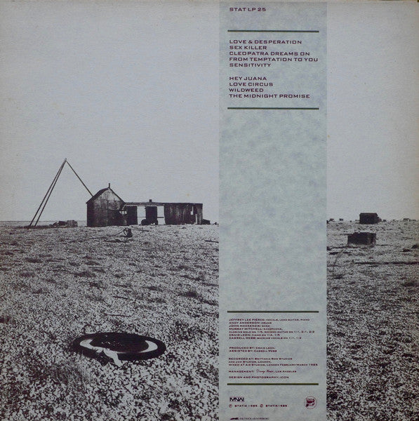Jeffrey Lee Pierce : Wildweed (LP, Album)