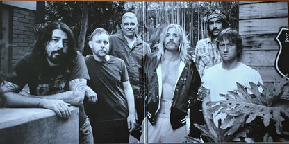 Foo Fighters : The Essential (2xLP, Comp, GZ )