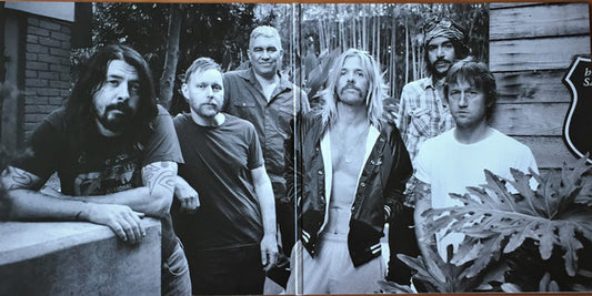 Foo Fighters : The Essential (2xLP, Comp, GZ )