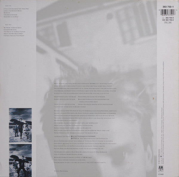 Sting : The Dream Of The Blue Turtles (LP, Album)