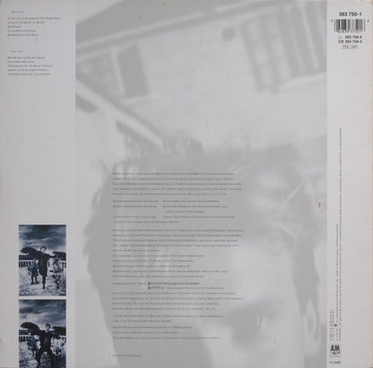 Sting : The Dream Of The Blue Turtles (LP, Album)