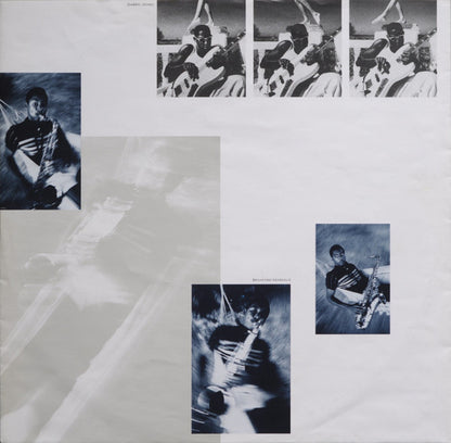 Sting : The Dream Of The Blue Turtles (LP, Album)