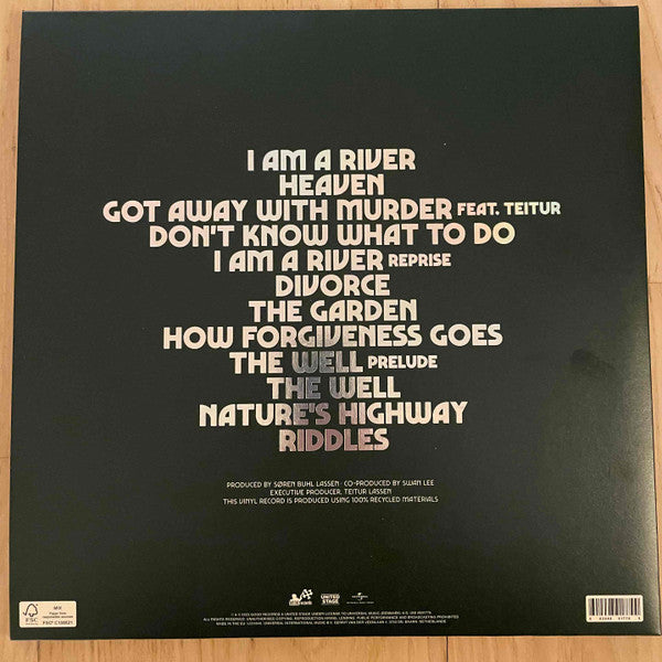 Swan Lee : The Garden (LP, Album)