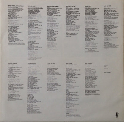 Mr. Big : Lean Into It (LP, Album)