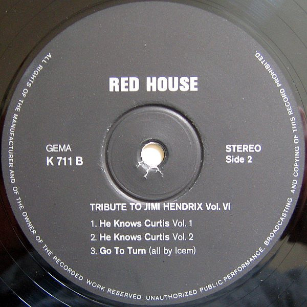 The Live Experience Band : (Jimi Hendrix) Red House (LP, Album)