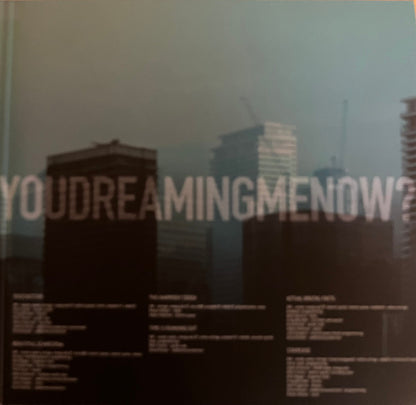 Steven Wilson : The Harmony Codex (2xLP, Album, Ltd, Ora)