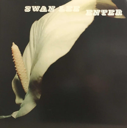 Swan Lee : Enter (LP, Album)