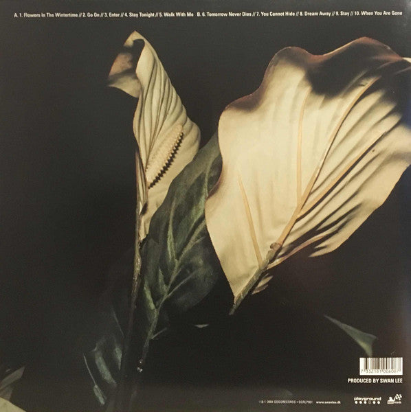 Swan Lee : Enter (LP, Album)