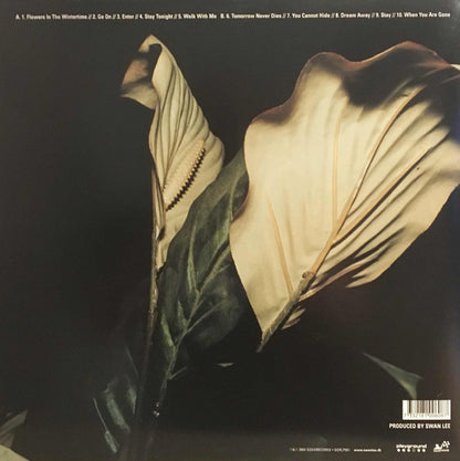 Swan Lee : Enter (LP, Album)