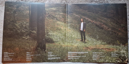 Noah Kahan : Stick Season (2xLP, Album)