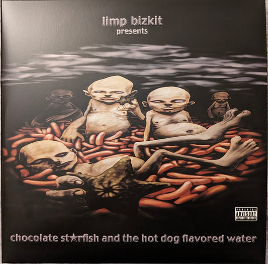 Limp Bizkit : Chocolate Starfish And The Hot Dog Flavored Water (LP, Gra + LP, Bro + Album, RE)