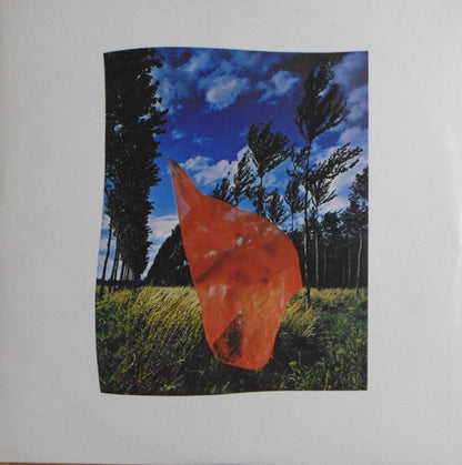 Pink Floyd : Wish You Were Here (LP, Album)