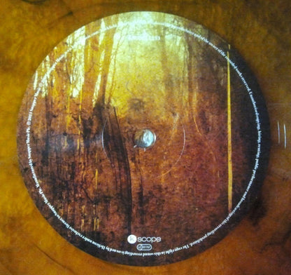 Blackfield : Blackfield (LP, Album, Ltd, RE, Ora)