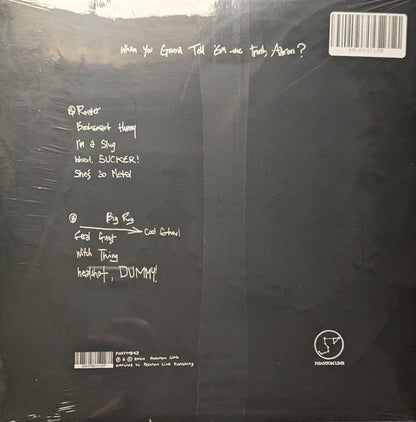 Milo Korbenski : When You Gonna Tell 'Em The Truth, Aaron? (LP, Album)