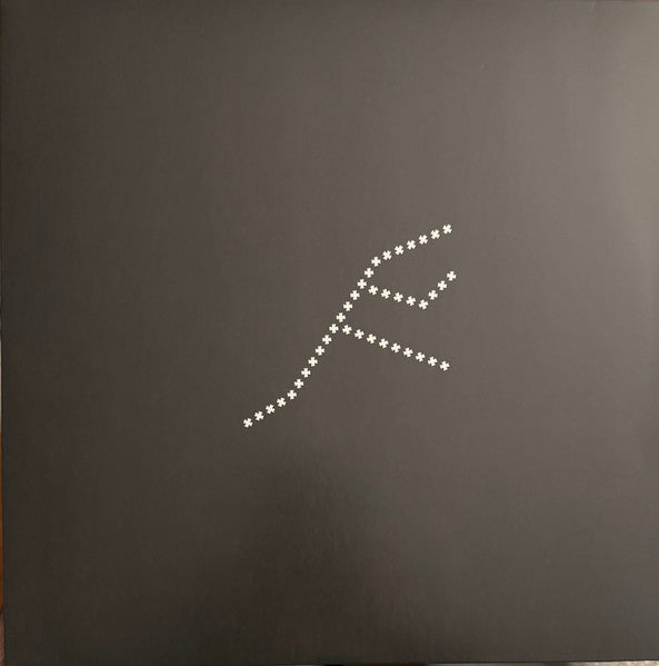 Nicolas Jaar : Piedras (2xLP, Album)