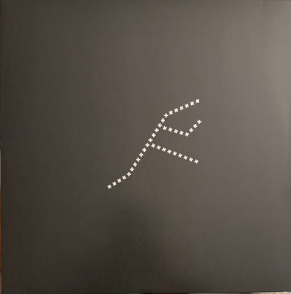 Nicolas Jaar : Piedras (2xLP, Album)