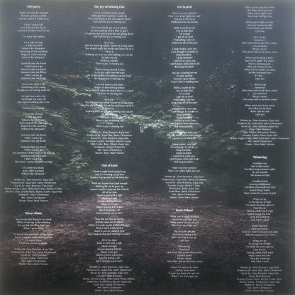 Bye Bye Brenda : Landmarks (LP, Album)