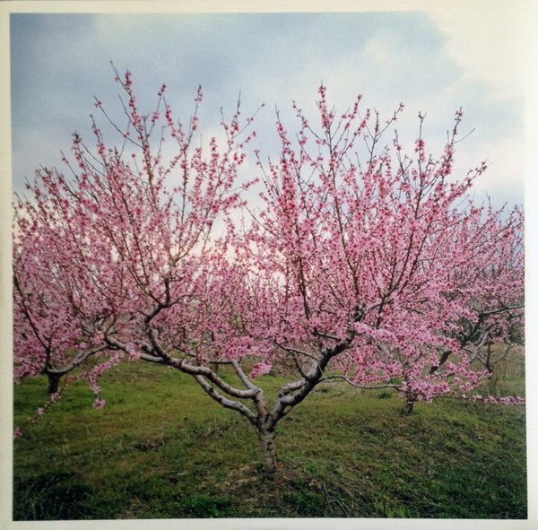 Washed Out : Within And Without (LP, Album, 180)