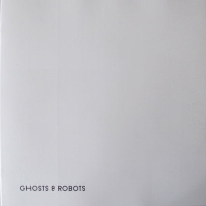 Den Sorte Skole : Ghosts & Robots (2xLP, Album)