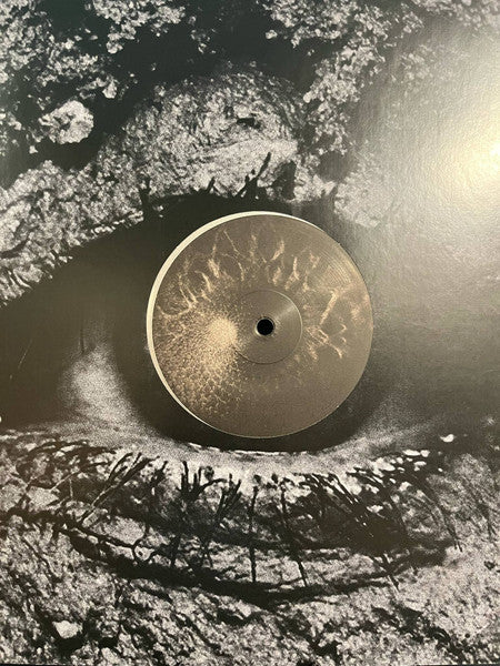 Harms Way (2) : Common Suffering (LP, Sil)