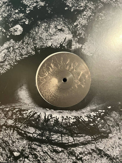 Harms Way (2) : Common Suffering (LP, Sil)