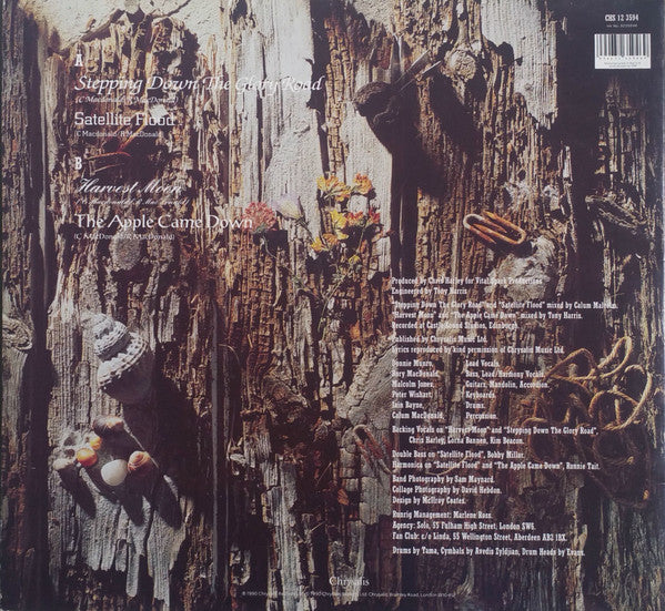 Runrig : Capture The Heart (12", EP, Gat)