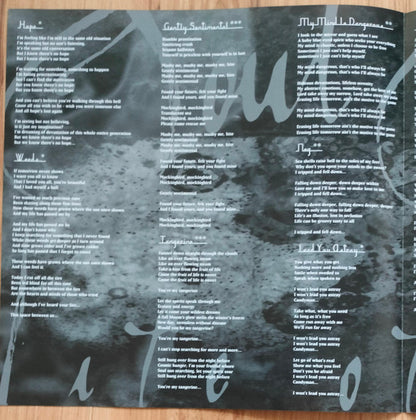 Life Of Agony : Soul Searching Sun (LP, Album, Num, RE, RP, Gol)