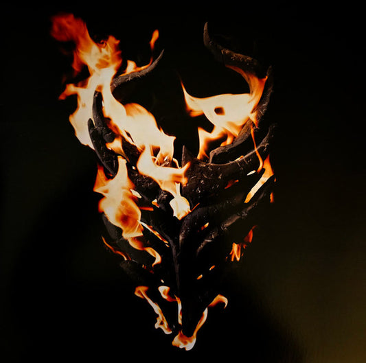 Demon Hunter : There Was A Light Here (2x12", Album, Gre)