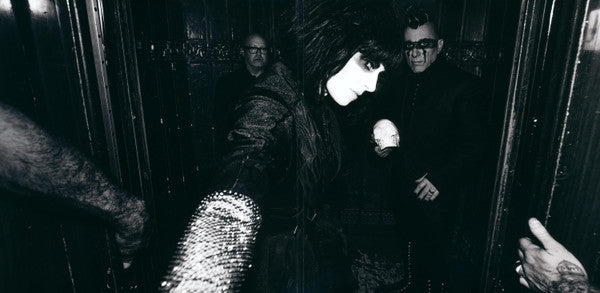 Puscifer : Normal Isn't (2xLP, Album)