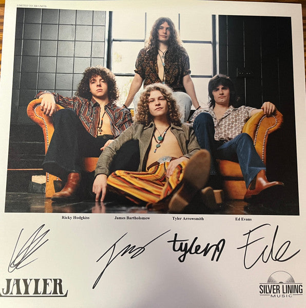 Jayler : Voices Unheard (LP, Album, Ltd)