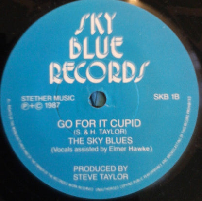 The Coventry City F.A. Cup Squad : Go For It! (7")
